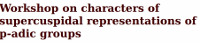 Workshop on characters of supercuspidal representations of p-adic groups